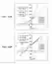 Fig. 40 - BOLAAMPHIPHILIC COMPOUNDS, COMPOSITIONS AND USES THEREOF