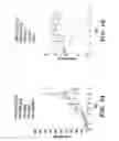 Fig. 12 - Nanoscale platinum compounds and methods of use thereof