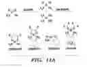 Fig. 15 - Nanoscale platinum compounds and methods of use thereof