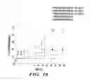 Fig. 24 - Nanoscale platinum compounds and methods of use thereof