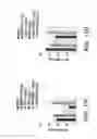 Fig. 26 - Nanoscale platinum compounds and methods of use thereof