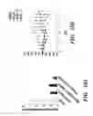 Fig. 27 - Nanoscale platinum compounds and methods of use thereof