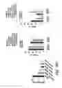 Fig. 41 - Nanoscale platinum compounds and methods of use thereof