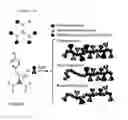 Fig. 02 - RAMAN-ACTIVE POLYMER PARTICLES AND METHODS FOR SYNTHESIZING THEREOF