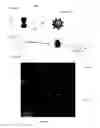 Fig. 03 - RAMAN-ACTIVE POLYMER PARTICLES AND METHODS FOR SYNTHESIZING THEREOF
