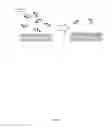Fig. 08 - Targeted delivery of antimicrobial agents