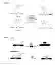 Fig. 12 - Selective arylation of dichalcogenides in biomolecules