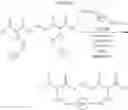 Fig. 148 - Selective arylation of dichalcogenides in biomolecules