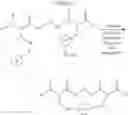Fig. 149 - Selective arylation of dichalcogenides in biomolecules