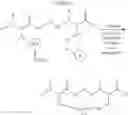 Fig. 150 - Selective arylation of dichalcogenides in biomolecules