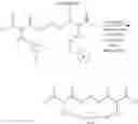 Fig. 166 - Selective arylation of dichalcogenides in biomolecules