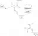 Fig. 170 - Selective arylation of dichalcogenides in biomolecules