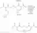 Fig. 181 - Selective arylation of dichalcogenides in biomolecules