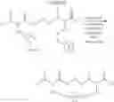 Fig. 182 - Selective arylation of dichalcogenides in biomolecules