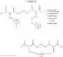Fig. 191 - Selective arylation of dichalcogenides in biomolecules