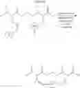 Fig. 199 - Selective arylation of dichalcogenides in biomolecules