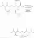 Fig. 200 - Selective arylation of dichalcogenides in biomolecules