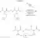 Fig. 205 - Selective arylation of dichalcogenides in biomolecules