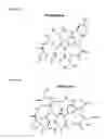 Fig. 28 - Selective arylation of dichalcogenides in biomolecules