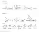 Fig. 32 - Selective arylation of dichalcogenides in biomolecules