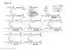 Fig. 33 - Selective arylation of dichalcogenides in biomolecules