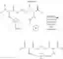 Fig. 372 - Selective arylation of dichalcogenides in biomolecules
