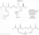 Fig. 378 - Selective arylation of dichalcogenides in biomolecules