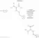 Fig. 385 - Selective arylation of dichalcogenides in biomolecules
