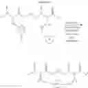 Fig. 388 - Selective arylation of dichalcogenides in biomolecules