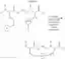 Fig. 394 - Selective arylation of dichalcogenides in biomolecules