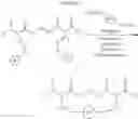 Fig. 402 - Selective arylation of dichalcogenides in biomolecules