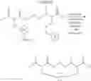 Fig. 404 - Selective arylation of dichalcogenides in biomolecules