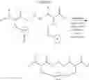Fig. 413 - Selective arylation of dichalcogenides in biomolecules