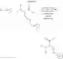 Fig. 419 - Selective arylation of dichalcogenides in biomolecules