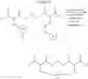 Fig. 422 - Selective arylation of dichalcogenides in biomolecules