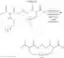 Fig. 428 - Selective arylation of dichalcogenides in biomolecules