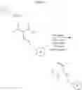 Fig. 49 - Selective arylation of dichalcogenides in biomolecules