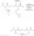Fig. 61 - Selective arylation of dichalcogenides in biomolecules