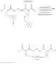 Fig. 70 - Selective arylation of dichalcogenides in biomolecules
