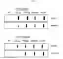 Fig. 04 - Peptide having cancer selective translocation function and use thereof
