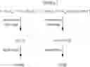 Fig. 14 - Variant target binding agents and uses thereof