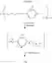 Fig. 16 - Variant target binding agents and uses thereof