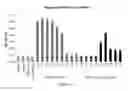 Fig. 08 - COMPLEXES OF RNA AND CATIONIC PEPTIDES FOR TRANSFECTION AND FOR IMMUNOSTIMULATION