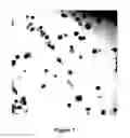 Fig. 02 - NANOPARTICLES COMPRISED OF SHELLS ASSOCIATED WITH CHARGED ENTITIES AND FORMED FROM MONOMERS AND METHODS OF MAKING AND USING NANOPARTICLES