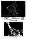 Fig. 05 - NANOPARTICLES COMPRISED OF SHELLS ASSOCIATED WITH CHARGED ENTITIES AND FORMED FROM MONOMERS AND METHODS OF MAKING AND USING NANOPARTICLES
