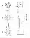 Fig. 06 - NANOPARTICLES COMPRISED OF SHELLS ASSOCIATED WITH CHARGED ENTITIES AND FORMED FROM MONOMERS AND METHODS OF MAKING AND USING NANOPARTICLES