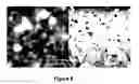 Fig. 07 - NANOPARTICLES COMPRISED OF SHELLS ASSOCIATED WITH CHARGED ENTITIES AND FORMED FROM MONOMERS AND METHODS OF MAKING AND USING NANOPARTICLES