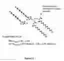 Fig. 12 - NANOPARTICLES COMPRISED OF SHELLS ASSOCIATED WITH CHARGED ENTITIES AND FORMED FROM MONOMERS AND METHODS OF MAKING AND USING NANOPARTICLES