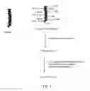 Fig. 02 - Pepsinized collagen implants and biomedical uses thereof
