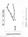 Fig. 06 - Transcranial burst electrostimulation apparatus and its applications